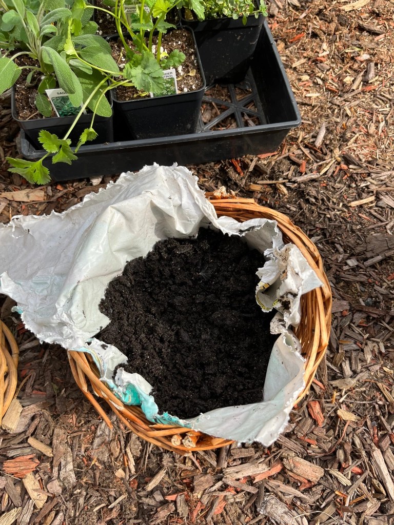 #Repurposed gift baskets as planters,#soil potted baskets # old gift baskets # baskets as planters